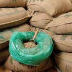 ESPRESSO×【Guatemala】(グァテマラ)